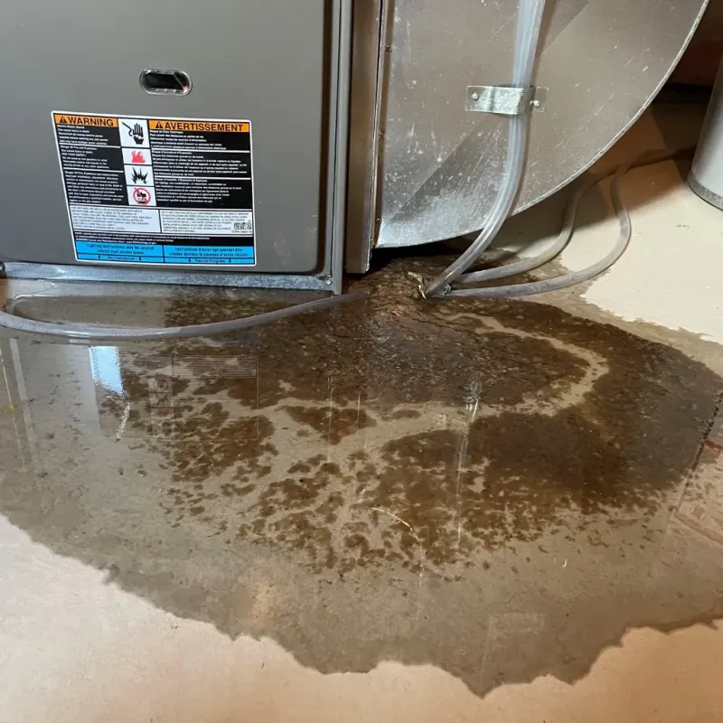 Appliance Leak Cleanup in Waimalu, HI