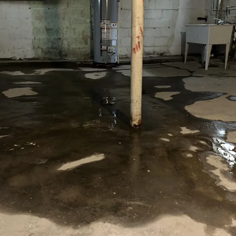 Emergency Water Extraction And Removal in Waimalu, HI